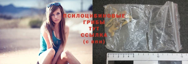 мяу мяу мука Абаза