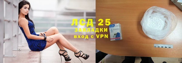 мяу мяу мука Абаза