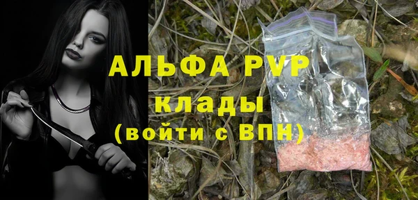 мяу мяу мука Абаза